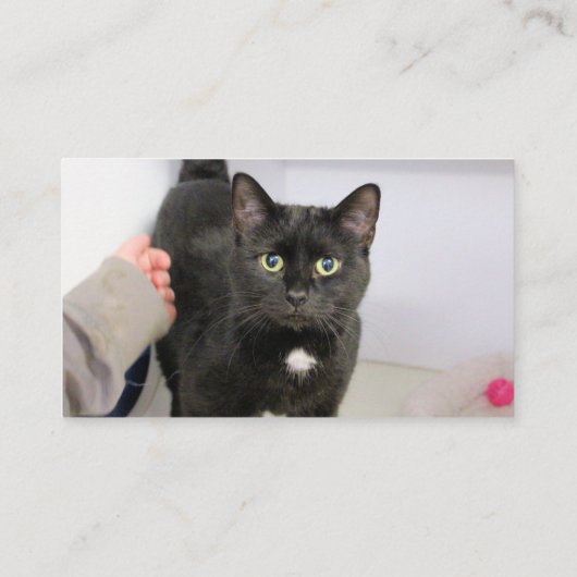 Carte De Visite Cat (Dos)