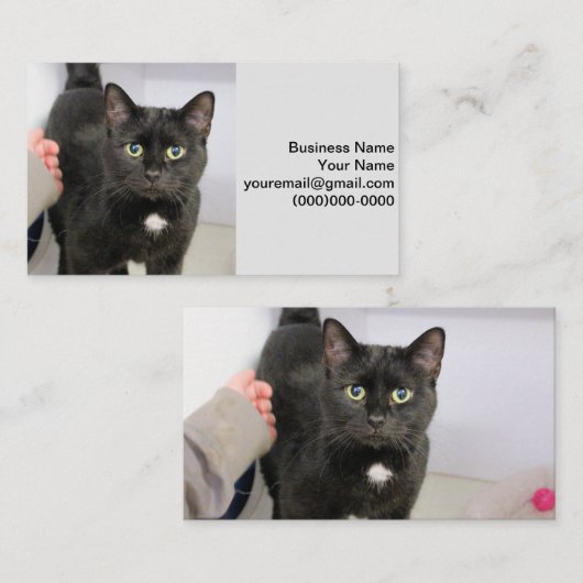 Carte De Visite Cat (Devant / Derrière)