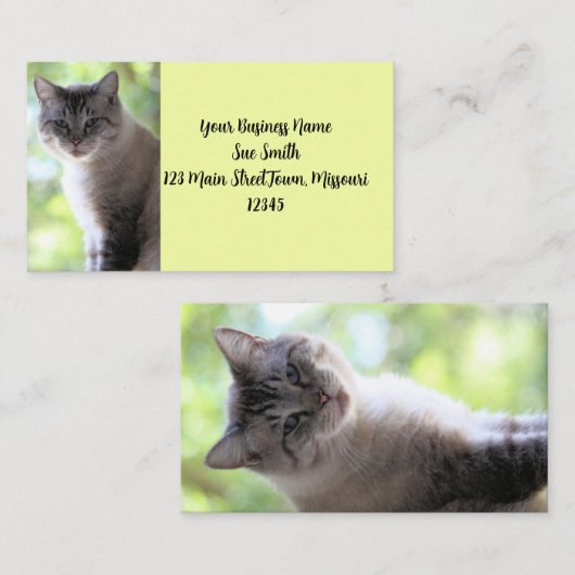 Carte De Visite Cat (Devant / Derrière)