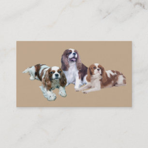 Carte de visite cavalier de Breede d'épagneul du