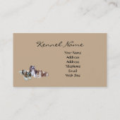 Carte de visite cavalier de Breede d'épagneul du (Dos)