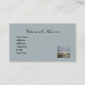 Carte de visite cavalier de Breede d'épagneul du (Dos)