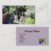 Carte de visite cavalier de Breede d'épagneul du (Devant / Derrière)