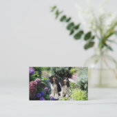 Carte de visite cavalier de Breede d'épagneul du (Debout devant)