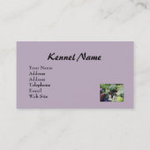 Carte de visite cavalier de Breede d'épagneul du (Dos)