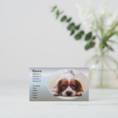 Carte De Visite Cavalier King Charles Spaniel (Debout devant)