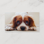 Carte De Visite Cavalier King Charles Spaniel (Dos)