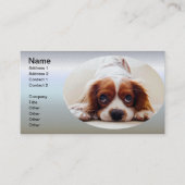 Carte De Visite Cavalier King Charles Spaniel (Devant)