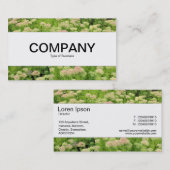 Carte De Visite Centre Band - Sedum (Autumn Joy) (Devant / Derrière)