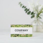 Carte De Visite Centre Band - Sedum (Autumn Joy) (Debout devant)