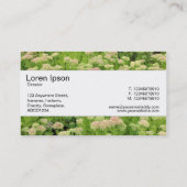 Carte De Visite Centre Band - Sedum (Autumn Joy) (Dos)