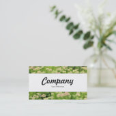 Carte De Visite Centre Band - Sedum (Autumn Joy) (Debout devant)