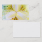 Carte De Visite Centre de l'univers (Devant / Derrière)