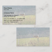 Carte De Visite Cerf à queue blanche (Devant / Derrière)