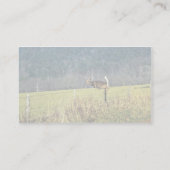 Carte De Visite Cerf à queue blanche (Dos)