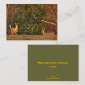 Carte De Visite Cerf de Virginie à Sunrise ATC (Devant / Derrière)