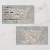 Carte De Visite cerfs communs Blanc-coupés la queue (Devant / Derrière)