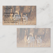 Carte De Visite Cerfs communs pies (Devant / Derrière)