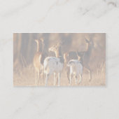 Carte De Visite Cerfs communs pies (Dos)