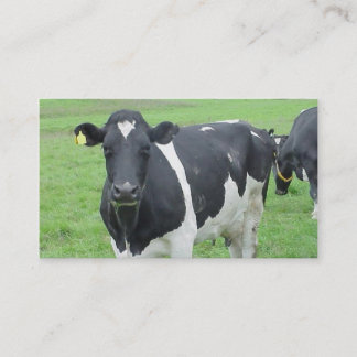 Carte De Visite Chaîne de ferme de génisse de boeuf de Taureau de