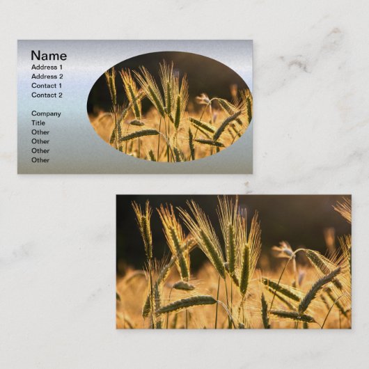 Carte De Visite Champ de Frarm Fresh (Devant / Derrière)