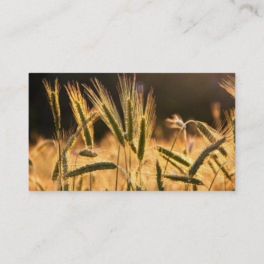 Carte De Visite Champ de Frarm Fresh (Dos)