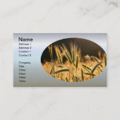 Carte De Visite Champ de Frarm Fresh (Devant)