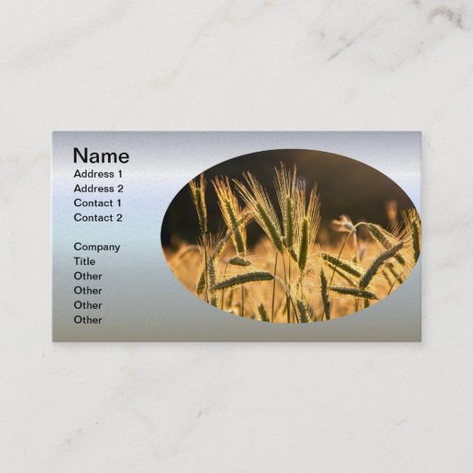 Carte De Visite Champ de Frarm Fresh (Devant)