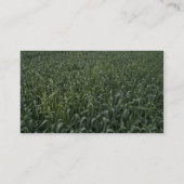 Carte De Visite Champ de maïs (Dos)