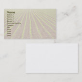 Carte De Visite Champ de maïs (Devant / Derrière)