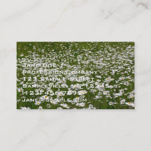 Carte De Visite Champ de pâquerettes Fleurs sauvages d'Alaska