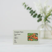 Carte De Visite Champ de Red Poppies (Debout devant)
