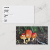Carte De Visite Champignon de famille Amanita (Devant / Derrière)