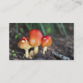 Carte De Visite Champignon de famille Amanita (Dos)