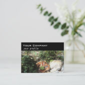 Carte De Visite champignon, lierre, pierres (Debout devant)