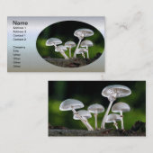 Carte De Visite Champignons d'automne de l'huître blanche (Devant / Derrière)