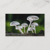Carte De Visite Champignons d'automne de l'huître blanche (Dos)