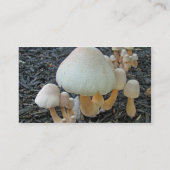 Carte De Visite Champignons en Mulch - Leucoagaricus americanus (Dos)