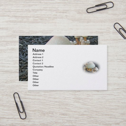 Carte De Visite Champignons en Mulch - Leucoagaricus americanus (Devant/Arrière en situation)