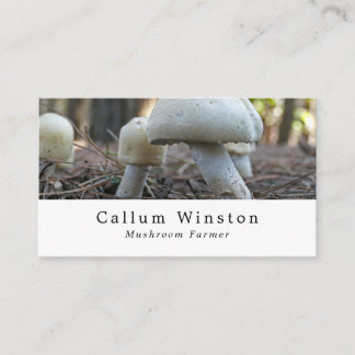 Carte De Visite Champignons sauvages, Producteur De Champignons