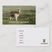 Carte De Visite Champion Alpacas (Devant / Derrière)