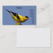 Carte De Visite Chardonneret américain (Devant / Derrière)