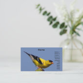 Carte De Visite Chardonneret américain (Debout devant)