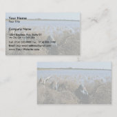 Carte De Visite Chasse à oiseaux aquatiques (Devant / Derrière)