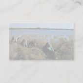 Carte De Visite Chasse d'oiseaux aquatiques (Dos)
