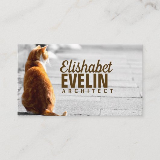 Carte De Visite Chat Assis Dans La Rue (Devant)