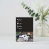 CARTE DE VISITE CHAT AVEC CASQUETTE HARLEQUIN ET MASQUERADE DE FÊT (Debout devant)