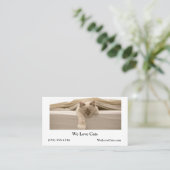 Carte De Visite Chat Beige Couché Sur Lit Beige (Debout devant)