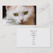 Carte De Visite Chat blanc (Devant / Derrière)