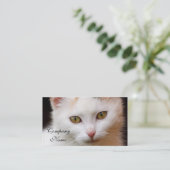 Carte De Visite Chat blanc (Debout devant)